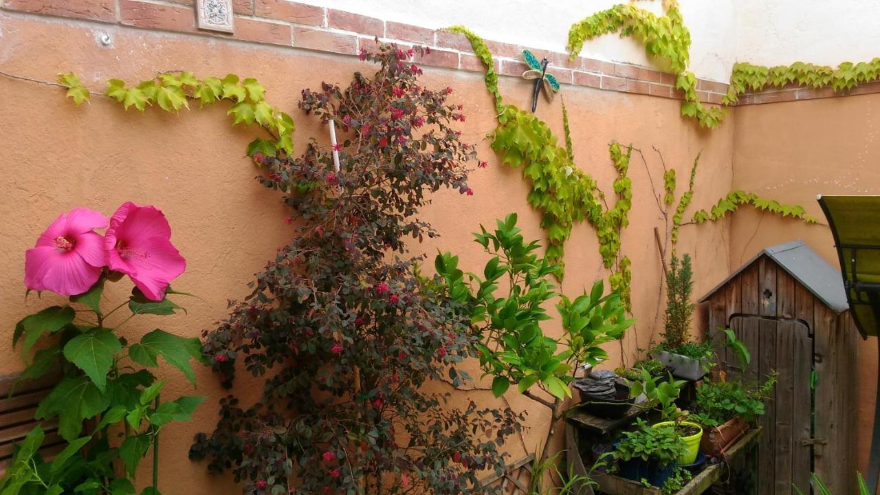 Autan Des Couleurs Albi Exterior foto